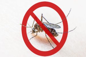 National Dengue Day