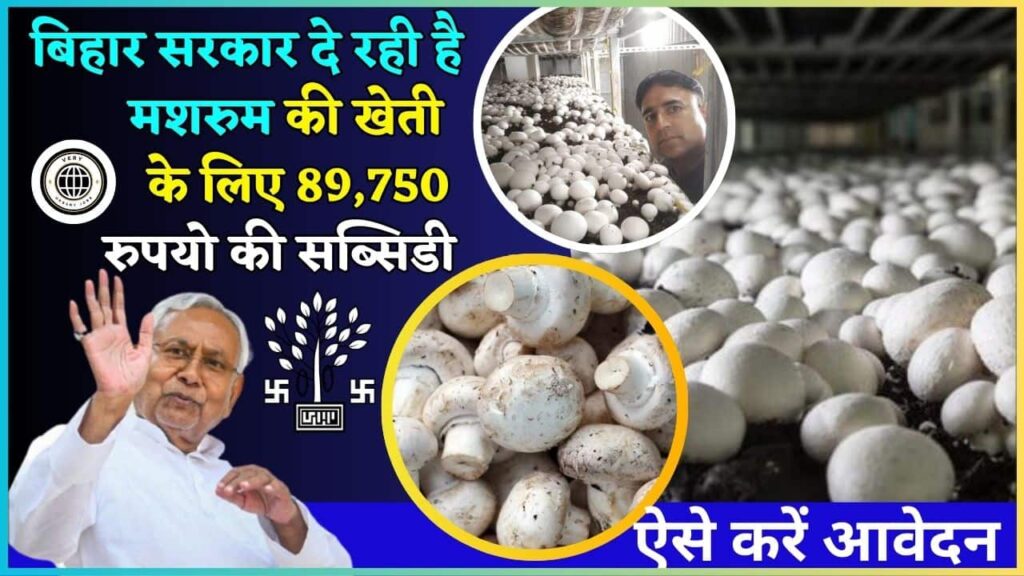 Bihar Mushroom Farming Subsidy Yojana 2024: बिहार सरकार दे रही है मशरुम की खेती के लिए 89,750 रुपयो की सब्सिडी, जाने क्या है पूरी स्कीम और आवेदन प्रक्रिया?