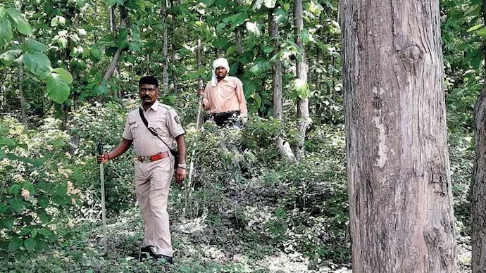 Forest Guard Vacancy Online Apply