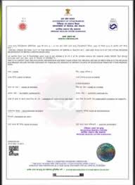Online Birth Certificate Download 