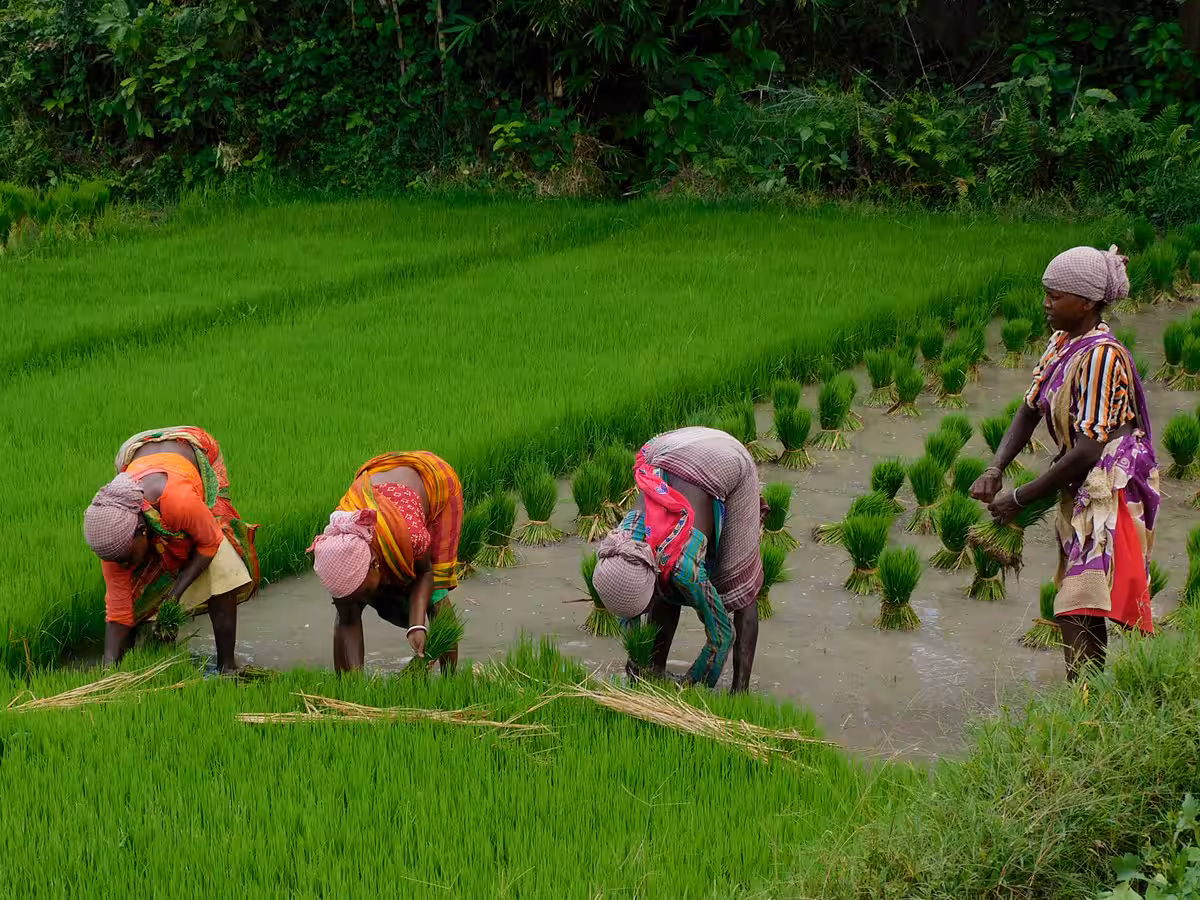 PM Kisan 18th Installment Date