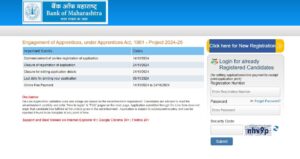 Bank of Maharashtra Apprentice Vacancy