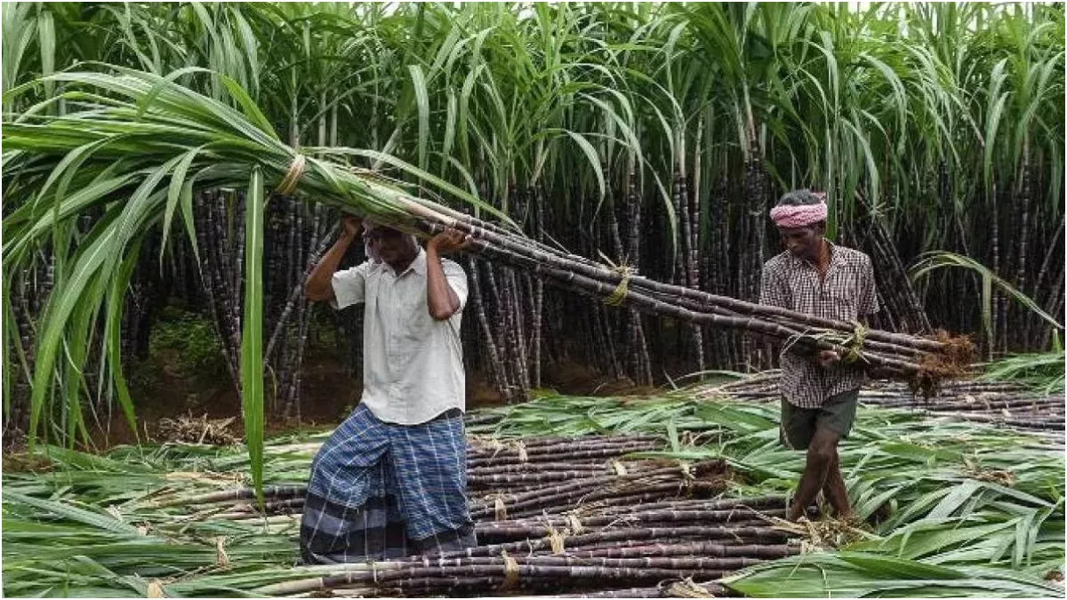 Bihar Ganna Yantrikaran Yojana 