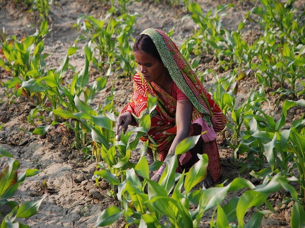 Kisan Vikas Patra Yojana