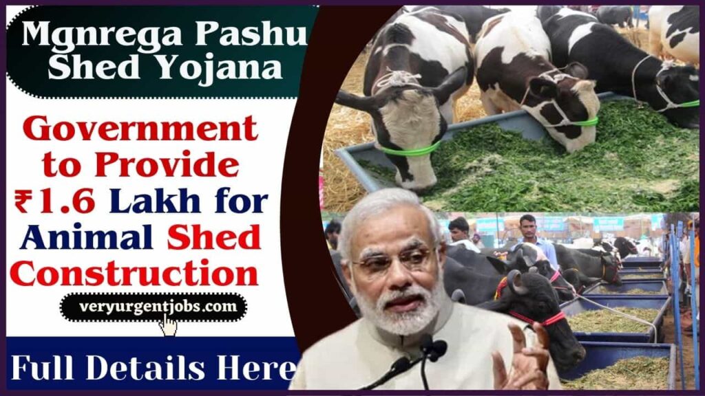 Mgnrega Pashu Shed Yojana 2025: Government to Provide ₹1.6 Lakh for Animal Shed Construction – Eligibility, Application Process & Benefits